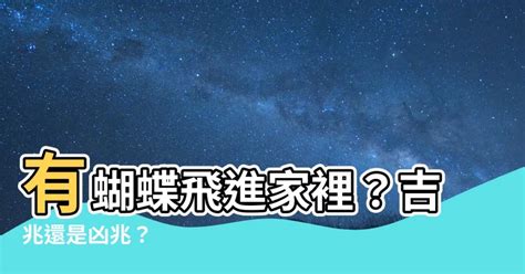 家裡出現蝴蝶|【家裡出現蝴蝶】家裡出現蝴蝶？吉兆還是凶兆？一次揭曉民間傳。